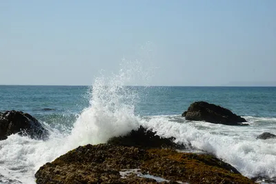 DSC_2570 (Large).JPG